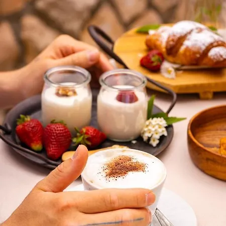 New Bristol Sport 切塞纳蒂科