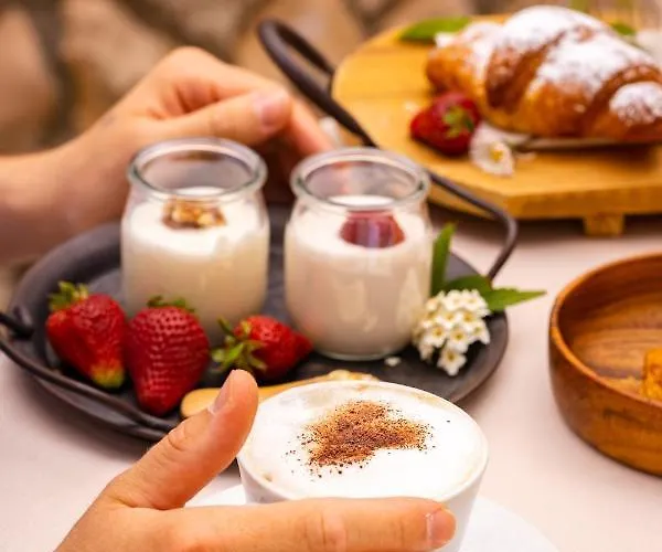 New Bristol Sport Cesenatico