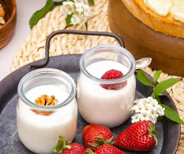 Hotell New Bristol Sport